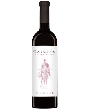 Caloian Cabernet Sauvignon 2019 | Crama Oprisor | Plaiurile Drancei